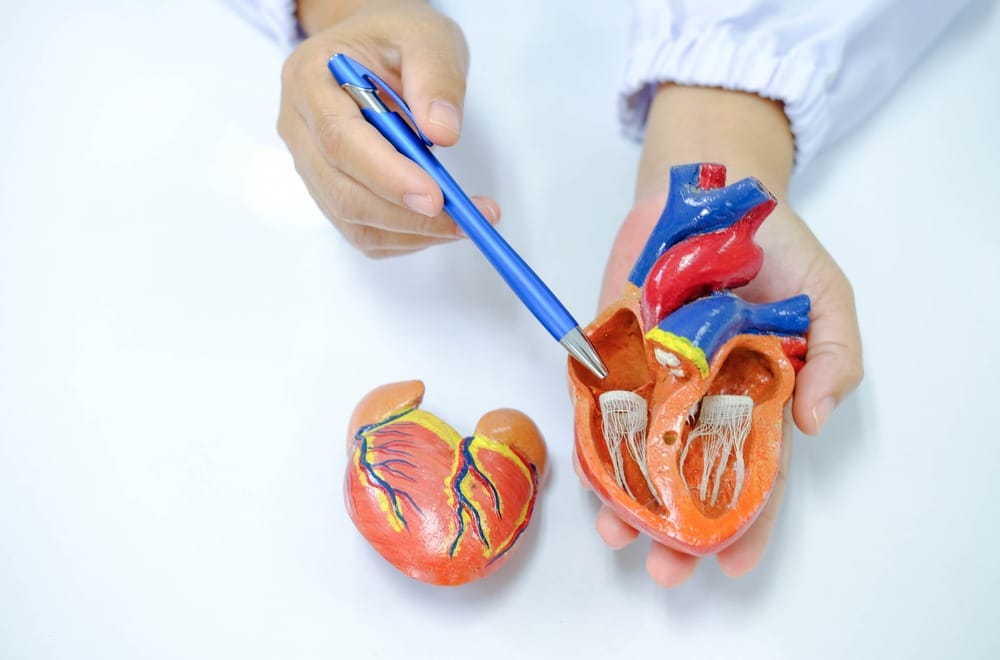 heart valve disease